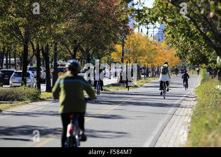 Reiter auf dem Radweg der 12th Avenue in West Side von Manhattan entlang Hudson River. New York City, USA Stockfoto