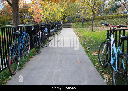 Campus der McGill Universität in Montreal, Quebec. Stockfoto