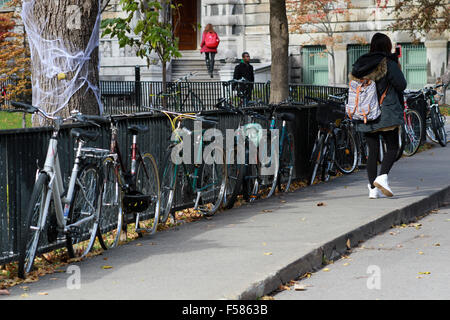 Campus der McGill Universität in Montreal, Quebec. Stockfoto