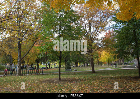 Campus der McGill Universität in Montreal, Quebec. Stockfoto