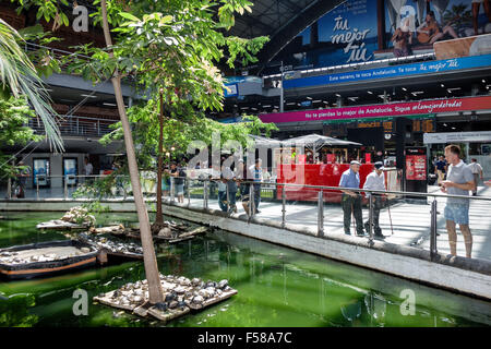 Madrid Spanien, Hispanic Arganzuela, Estacion de Madrid Atocha, Madrid Puerta de Atocha, Bahnhof, Innenbereich, tropischer botanischer Garten, Spa Stockfoto