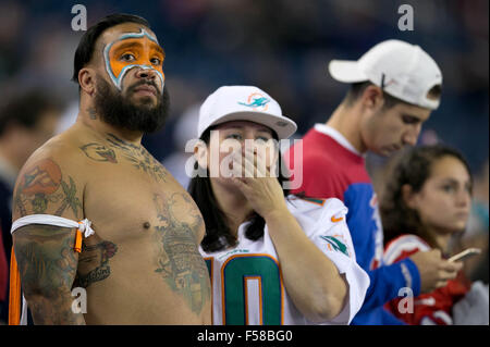 Foxborough, Massachusetts, USA. 29. Oktober 2015. Delphine-Fans im Gillette Stadium in Foxborough, Massachusetts am 29. Oktober 2015. Bildnachweis: ZUMA Press Inc/Alamy Live-Nachrichten Stockfoto