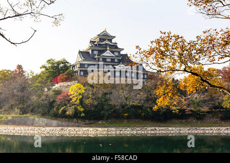 Japan, Okayama Castle, wie die Krähe Schloss bekannt. Schwarz halten bis Herbst Laub mit der Asahi Fluss im Vordergrund umgeben. Und blauer Himmel. Stockfoto