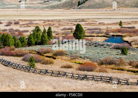 Creek Valley in der Sawtooth National Recreation Area, Idaho, eingezäunt riparian Lebensraum zu schützen und zu verbessern. Stockfoto