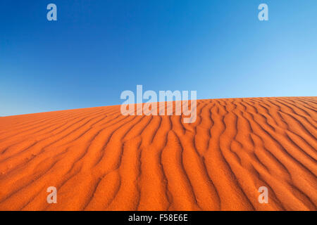 Detail der Wellen in einer roten Sanddüne an einem klaren Tag. Fotografiert im Northern Territory in Australien. Stockfoto