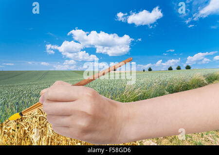 Ernte Konzept - Hand mit Pinsel malt gelbe Ernte im grünen Weizenfeld Stockfoto