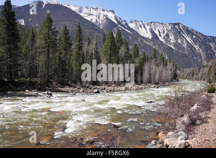 Animas River Fluss in den San Juan Mountains in Colorado USA mit schmelzen Stockfoto