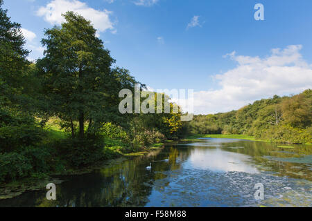 Otterhead Lakes East Devon UK Blackdown Hills Area of Outstanding Natural Beauty Stockfoto