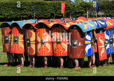 Roman Testudo Nachstellung Stockfoto