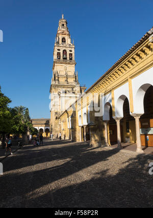 Glockenturm und Rechnungshof Orangen Moschee und Kathedrale unserer lieben Frau Mariä Himmelfahrt in Córdoba, Andalusien, Spanien Stockfoto