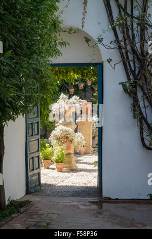 Offene Tür zum Garten und Höfe im Palast von Viana in Cordoba, Andalusien, Spanien Stockfoto