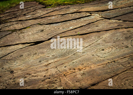 Uralte Felsmalereien in Kilmartin Glen, Schottland Stockfoto