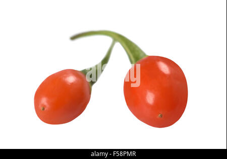 Goji Beere isolierten auf weißen Hintergrund. Stockfoto