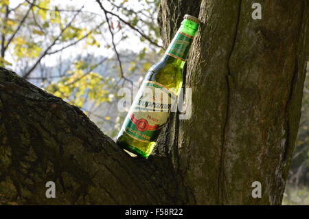 Illustrative Flaschen Bier auf dem Baum in der Natur und das Bier produziert in Tschechien, Europa Stockfoto