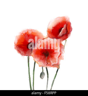 Roter Mohn Blumen Aquarell. Isoliert auf weißem Hintergrund Stockfoto
