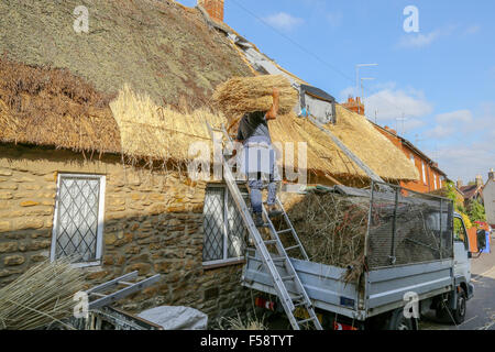 Qualifizierte Thatchers bei der Arbeit, die Wiederherstellung von einem Strohdach auf einer Hütte in Northamptonshire, England. Reet bietet hohes Maß an Isolation Stockfoto