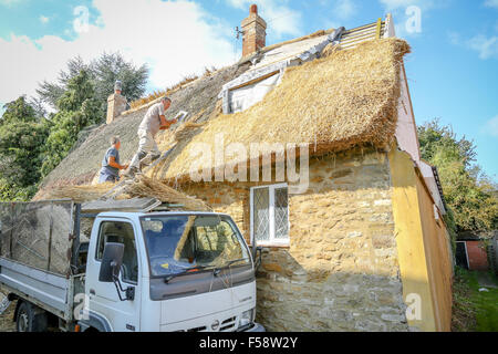 Qualifizierte Thatchers bei der Arbeit, die Wiederherstellung von einem Strohdach auf einer Hütte in Northamptonshire, England. Reet bietet hohes Maß an Isolation Stockfoto