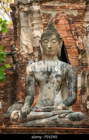 Buddha-Statue, Wat Mahathat, Ayutthaya, Wat Chang Phra Nakhon Si Ayutthaya, Thailand Stockfoto