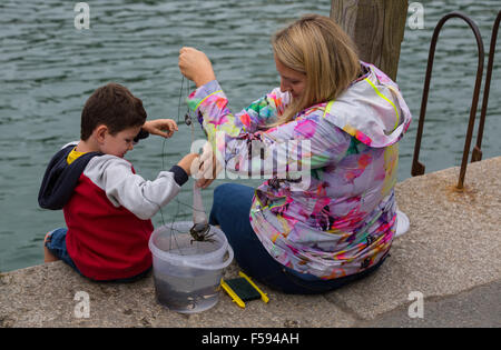 Mutter und Sohn Angeln für Krabben im Hafen von Looe Stockfoto