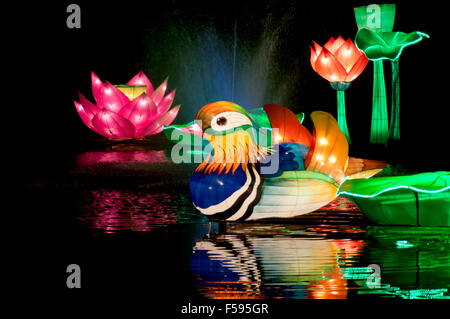 Aufwendige chinesische Laternen, die für das Festival of Light 2014 in Longleat, Wiltshire, Großbritannien, ausgestellt werden Stockfoto