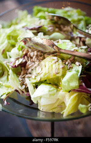 Grüner Salat mit Kopfsalat und Sonnenblumen Samen Stockfoto