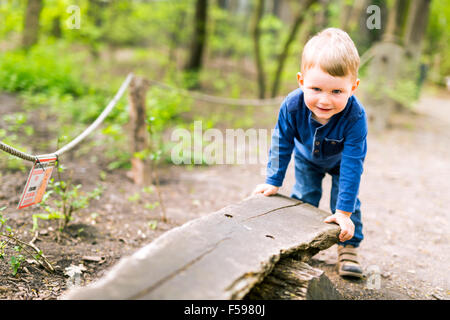 Kleine schöne junge im park Stockfoto