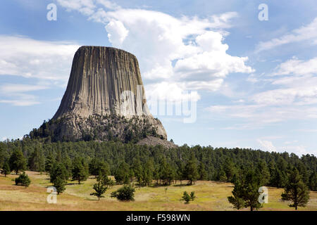 Devils Tower Nationalmonument befindet sich in Wyoming, USA. Stockfoto