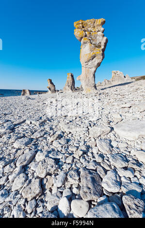 Meer-Stacks. Fårö, Gotland, Schweden Stockfoto