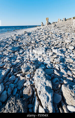 Meer-Stacks. Fårö, Gotland, Schweden Stockfoto