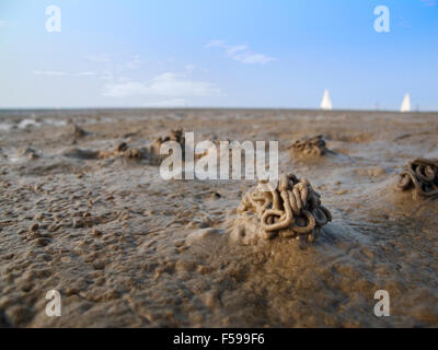 flach abgewinkelten bodennahe einen Wattwurm Haufen bei Ebbe am Strand Nordsee hautnah Stockfoto