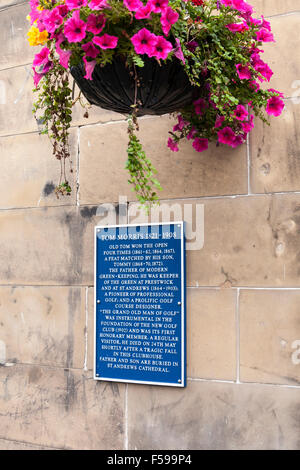 Eine blaue Plakette auf der neue Golf Club of St Andrews in Erinnerung an die berühmten Golfer Old Tom Morris, St Andrews, Fife, Schottland, Vereinigtes Königreich Stockfoto