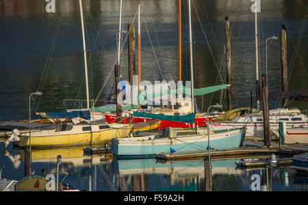 Segelboote und Motorboote vor Anker im Carlyon Strand Marina eine Wohnanlage auf dem Puget Sound. US-Bundesstaat Washington, USA Stockfoto