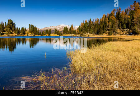 Herbstsaison am Colbricon Lake, Dem Lagorai-Massiv bei Passo Rolle. Die Trentiner Bergwelt. Paneveggio-Pale di San Martino. Italienische Alpen. Europa. Stockfoto