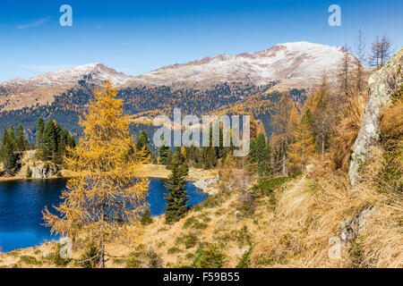 Herbst, Colbricon See, der Lagorai massiv. Die Dolomiten. Paneveggio-Pale di San Martino Nature Park. Trentino, Alpen. Stockfoto