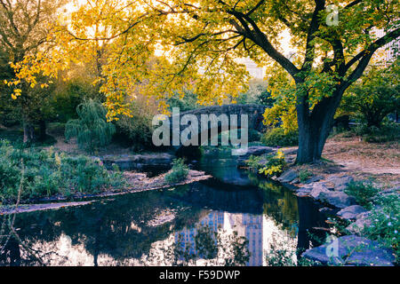 Colors of Central Park Stockfoto