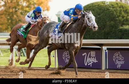 Lexington, Kentucky, USA. 30. Oktober 2015. 30. Oktober 2015: Sophie Shore/ESW/CSM/Alamy Live-Nachrichten Stockfoto