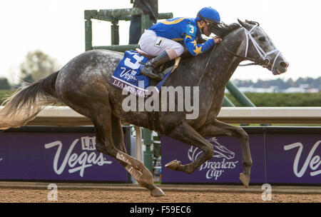 Lexington, Kentucky, USA. 30. Oktober 2015. 30. Oktober 2015: Sophie Shore/ESW/CSM/Alamy Live-Nachrichten Stockfoto