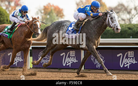 Lexington, Kentucky, USA. 30. Oktober 2015. 30. Oktober 2015: Sophie Shore/ESW/CSM/Alamy Live-Nachrichten Stockfoto