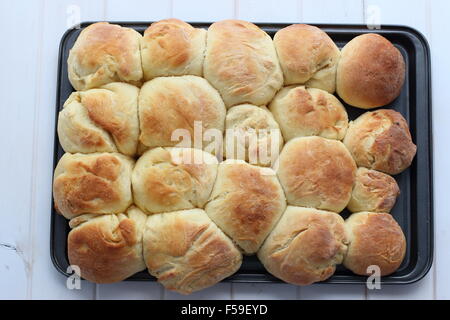 Hausgemachte Brötchen Stockfoto