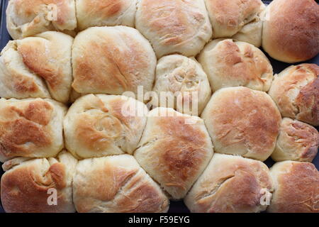 Hausgemachte Brötchen Stockfoto