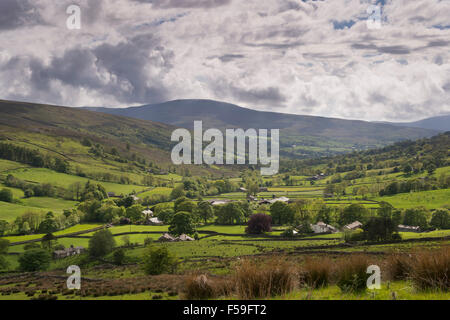 Blick vom Lea Yeat Braue, Sedbergh, Cumbria, UK, Blick auf den Hochebenen, grünen Weiden und Wiesen im Tal des malerischen, sonnigen Dentdale, Stockfoto