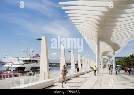 Joggen im El Palmeral de Las Sorpresas Promenade am Hafen. Málaga, Andalusien, Spanien Stockfoto