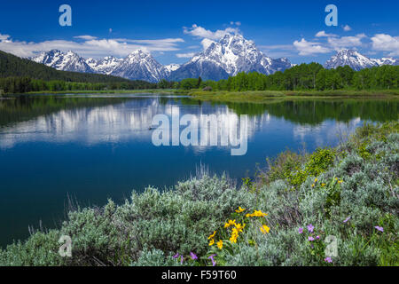 Mount Moran und der Grand Teton Bergkette spiegelt sich in der Snake River in den Grand Teton Nationalpark, Wyoming, USA. Stockfoto