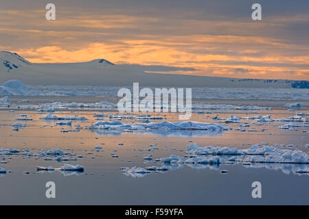 Eisschollen, Rand des Packeises, Nordpolarmeer, Spitzbergen Insel, Spitzbergen, Svalbard und Jan Mayen, Norwegen, Europa Stockfoto