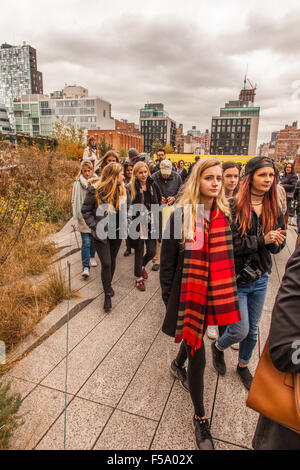 Der High Line Park, eine erhöhte Park und Gehweg gebaut auf alte Eisenbahnviadukt in Chelsea, Manhattan, New York City, Vereinigte Staaten von Amerika Stockfoto