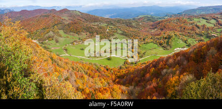 Vall d ' en Bas fallen Landschaft in La Garrotxa, Catalonia Stockfoto