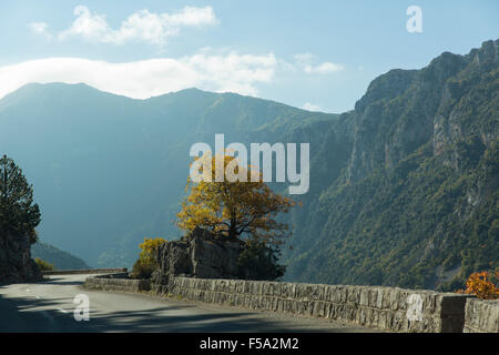 Straße durch Grand Canyon du Verdon, Provence, Frankreich Stockfoto