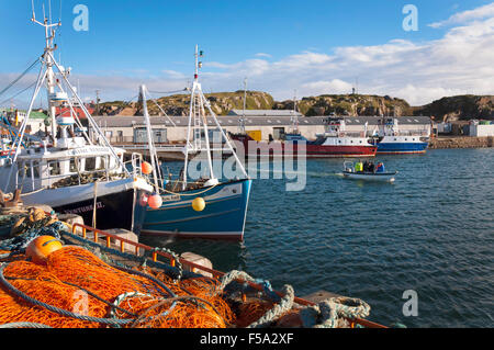 Burtonport, County Donegal, Irland Wetter. 31. Oktober 2015. Eine feine, frische Morgen im Westen Irlands Fischereihafen am Atlantischen Ozean. Bildnachweis: Richard Wayman/Alamy Live-Nachrichten Stockfoto