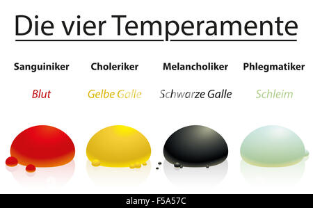 Humorismus - Sanguiniker, Choleriker, melancholisch, phlegmatisch - vier Temperamente mit entsprechenden Körpersäfte oder körperliche Flüssigkeiten. Stockfoto