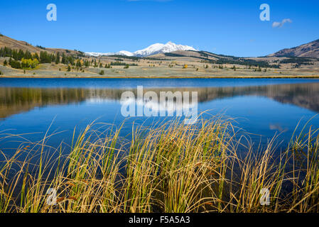 Swan Lake mit Blick auf elektrischen Peak, Gallatin Range, Yellowstone-Nationalpark, Wyoming, USA Stockfoto